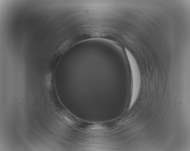 X0000073850219200608312009