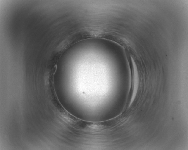 X0000073850221200608312009