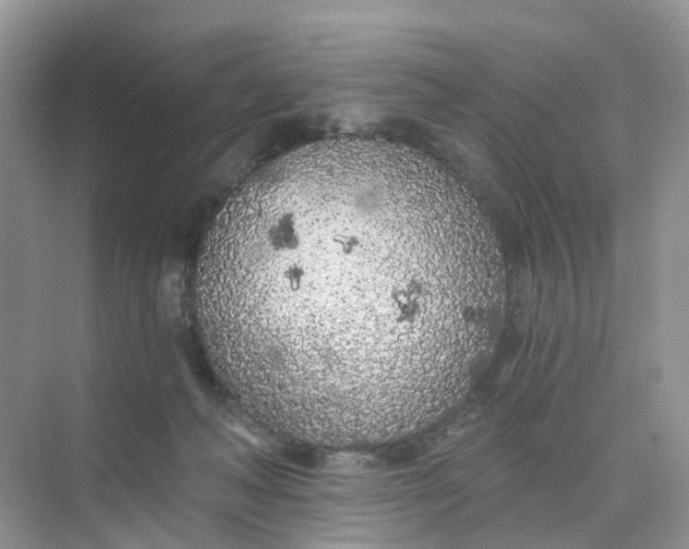 X0000073850222200608312009