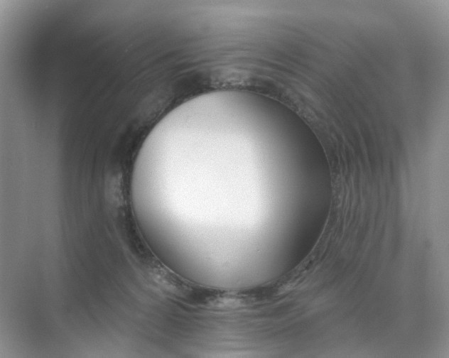 X0000073850224200608312009