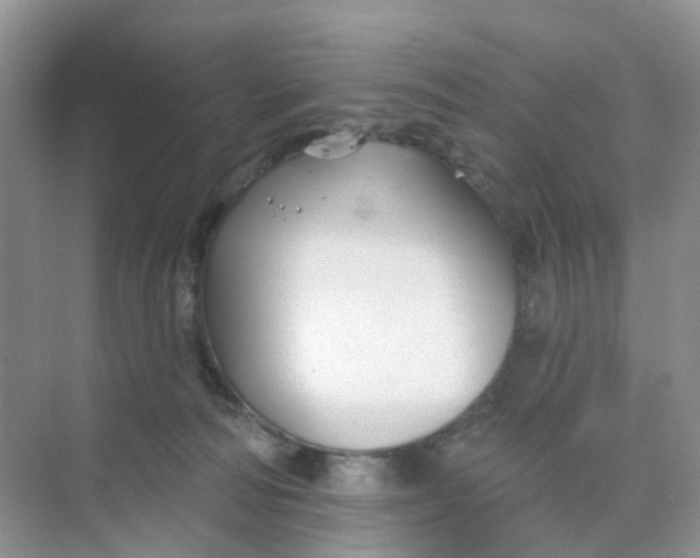 X0000073850226200608312009