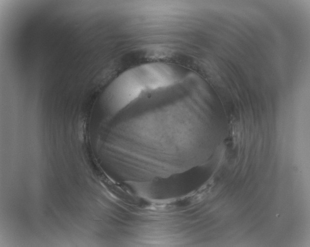 X0000073850227200608312009