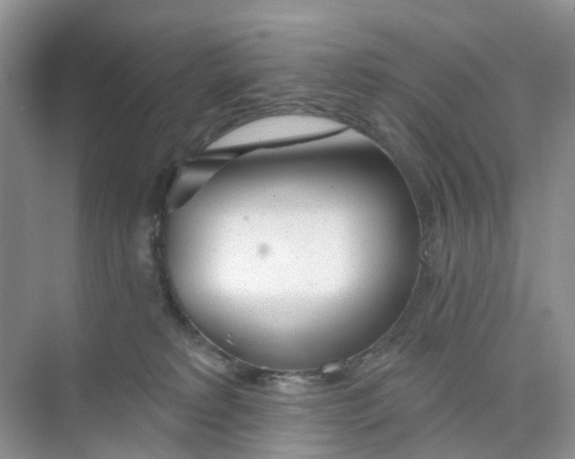 X0000073850229200608312009