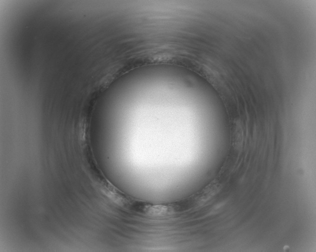 X0000073850230200608312009