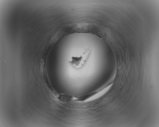 X0000073850231200608312009