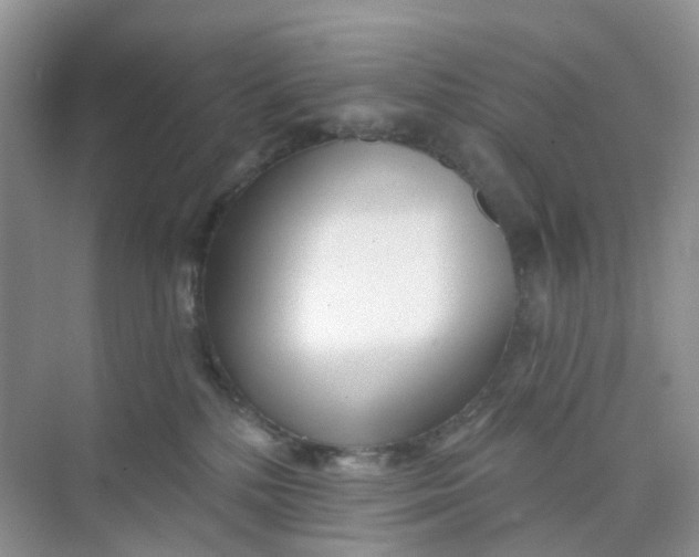 X0000073850232200608312009