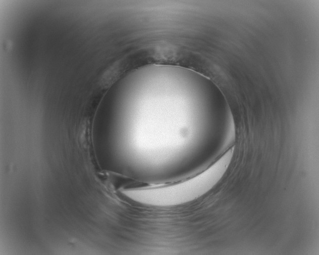 X0000073850233200608312009