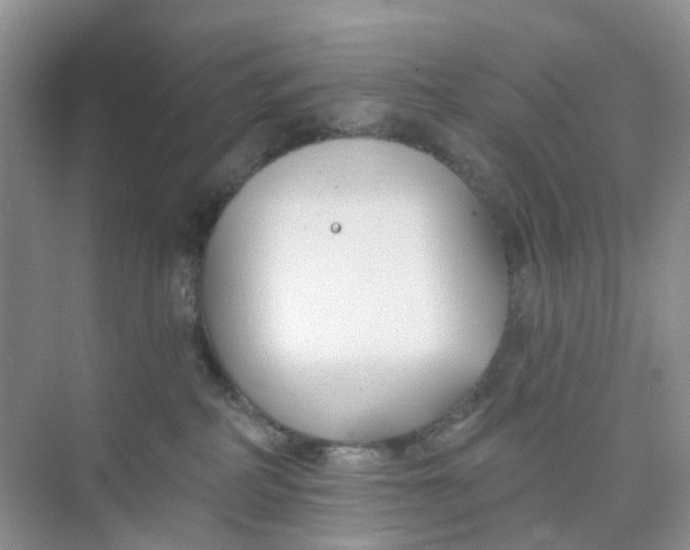 X0000073850234200608312009