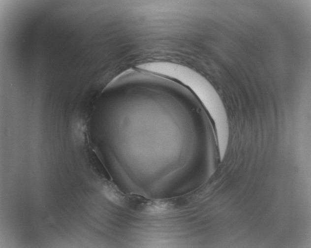 X0000073850235200608312009