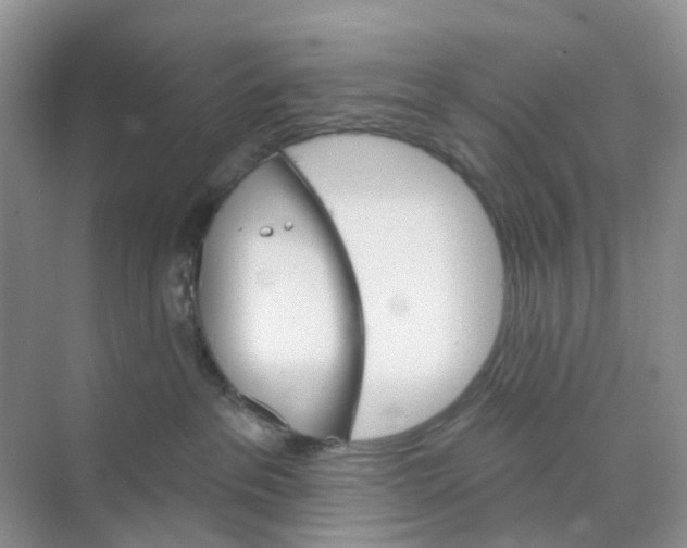 X0000073850237200608312009