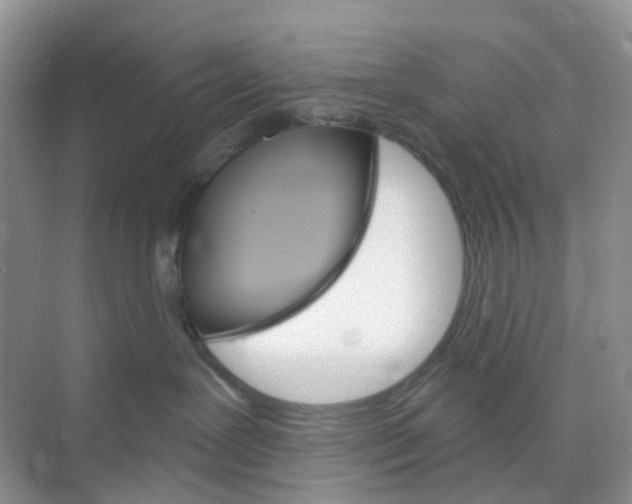 X0000073850239200608312009