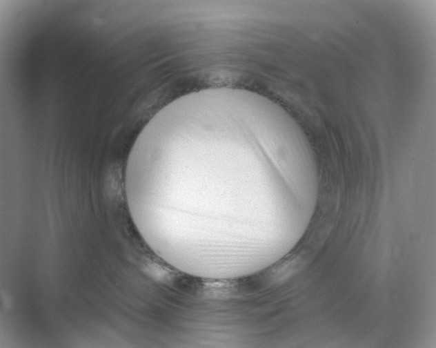 X0000073850240200608312009