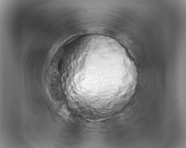 X0000073850241200608312008