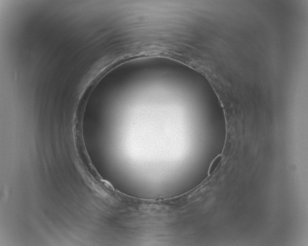 X0000073850242200608312008