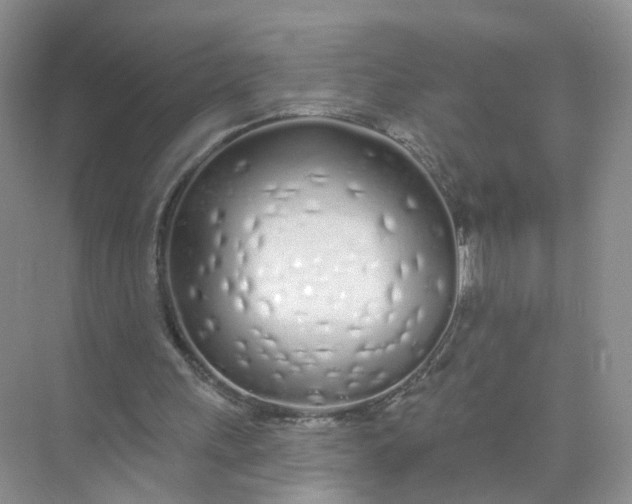 X0000073850243200608312008