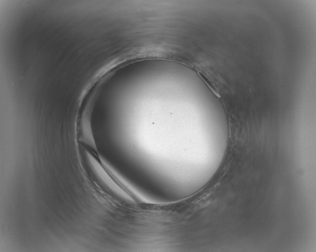 X0000073850244200608312008