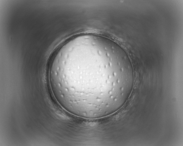 X0000073850247200608312008