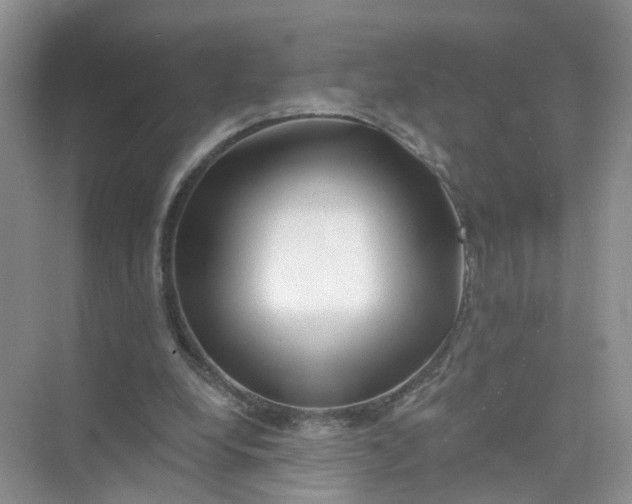 X0000073850248200608312008