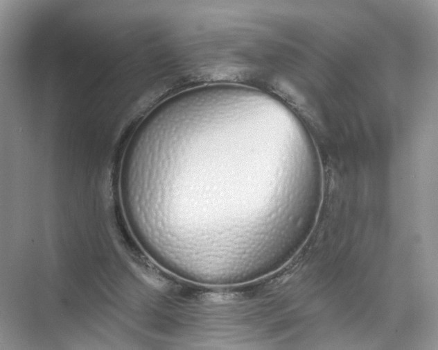 X0000073850250200608312008