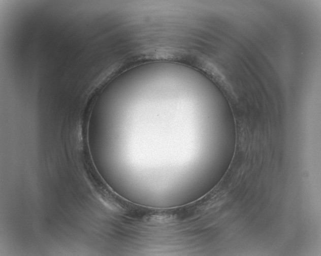 X0000073850251200608312008