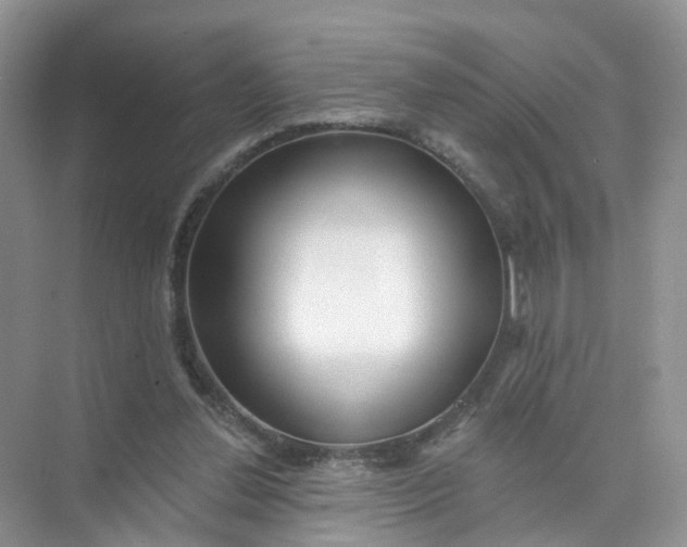 X0000073850252200608312008