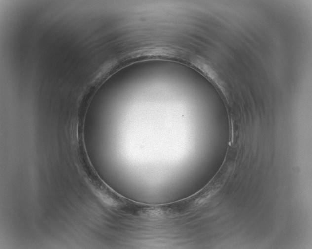 X0000073850253200608312008