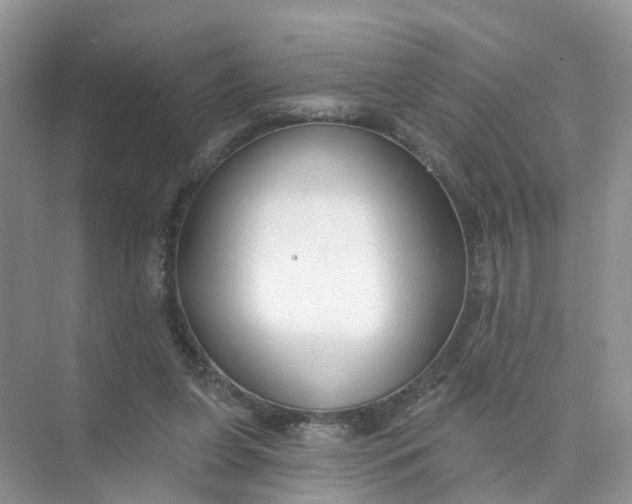 X0000073850255200608312008