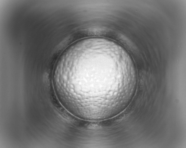 X0000073850258200608312008