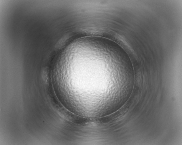 X0000073850259200608312008