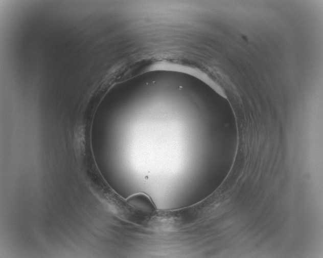 X0000073850260200608312008