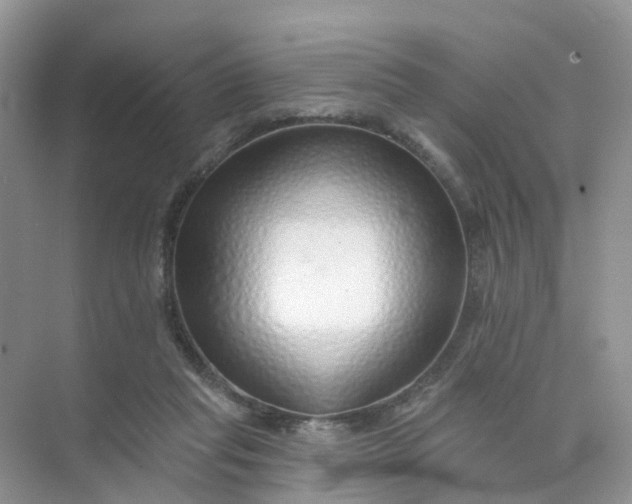 X0000073850261200608312008