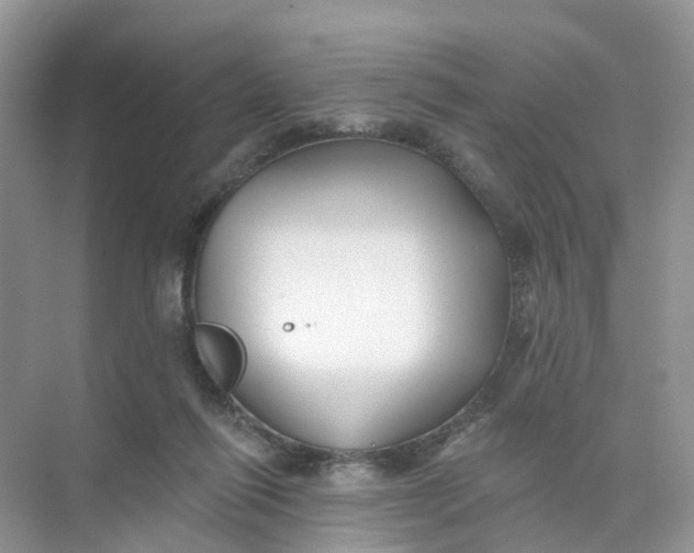 X0000073850262200608312008