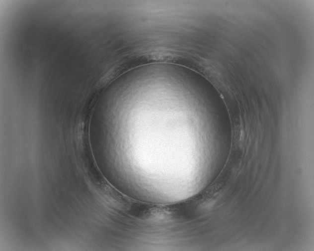 X0000073850263200608312008