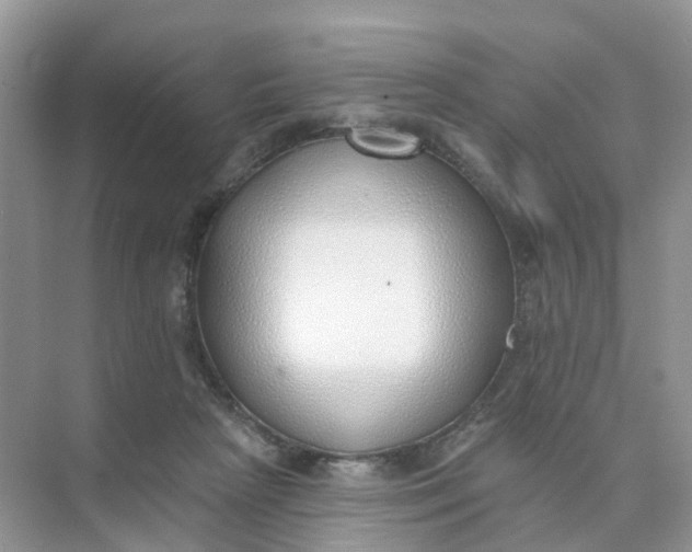 X0000073850265200608312008