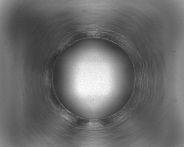 X0000073850270200608312008