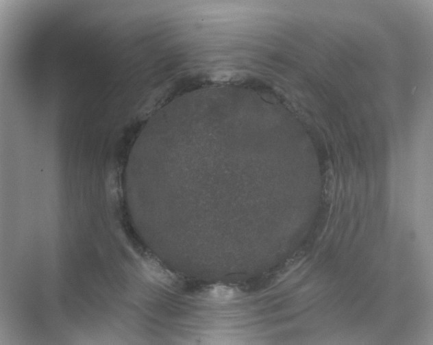 X0000073850272200608312008