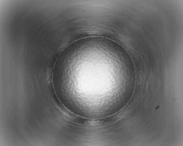 X0000073850273200608312008