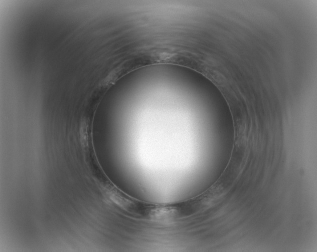 X0000073850274200608312008