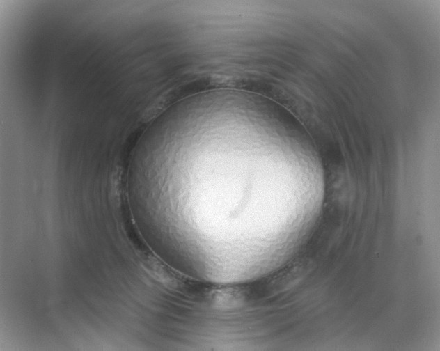 X0000073850275200608312008