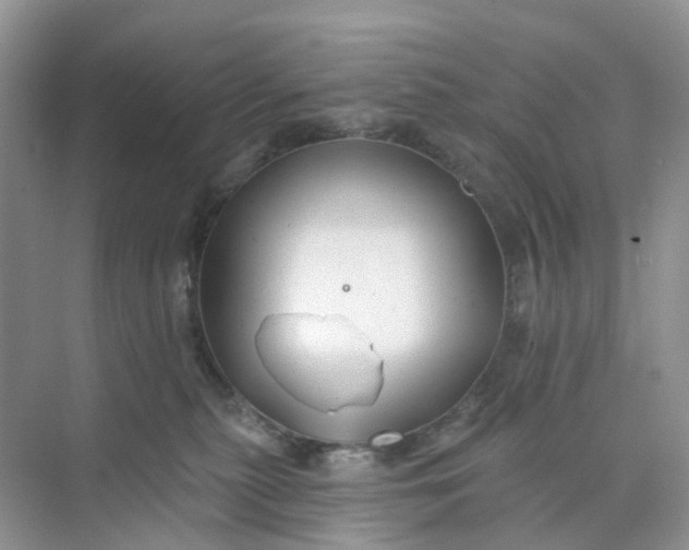 X0000073850279200608312008