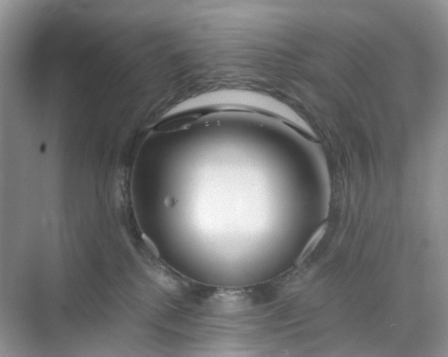 X0000073850280200608312008