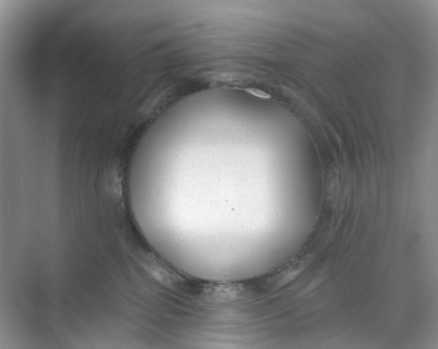 X0000073850282200608312008