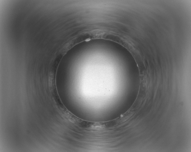 X0000073850283200608312008