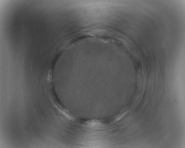 X0000073850284200608312008