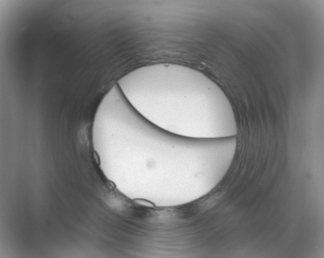 X0000073850286200608312008