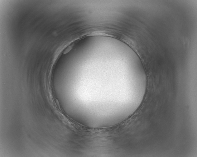 X0000073850289200608312008