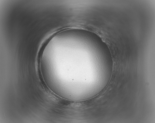 X0000073850294200608312008