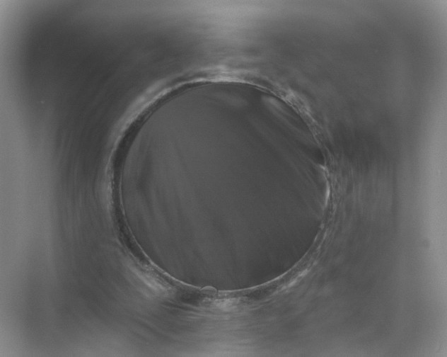 X0000073850295200608312008