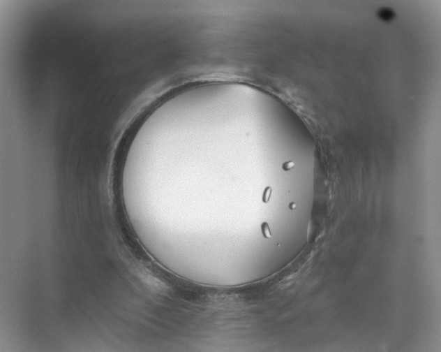 X0000073850296200608312008