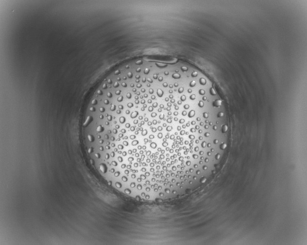 X0000073850297200608312008